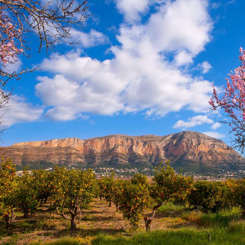 Naturpark Montgo in Denia